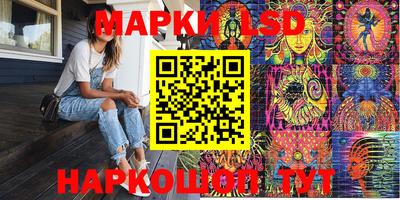 mdpv Гатчина