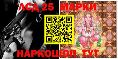 mdpv Гатчина
