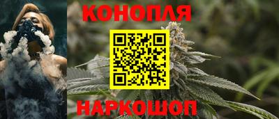 прущие грибы Гагарин