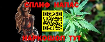 прущие грибы Гагарин