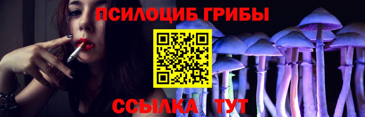 Псилоцибиновые грибы Cubensis Можайск